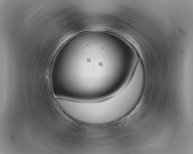 X0000112891481200909041651