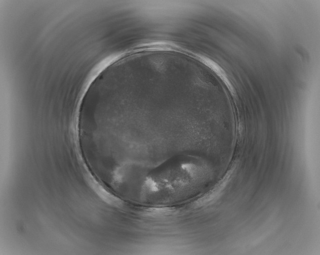 X0000112891482200909041651