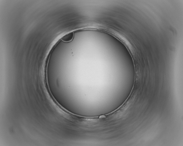X0000112891483200909041651