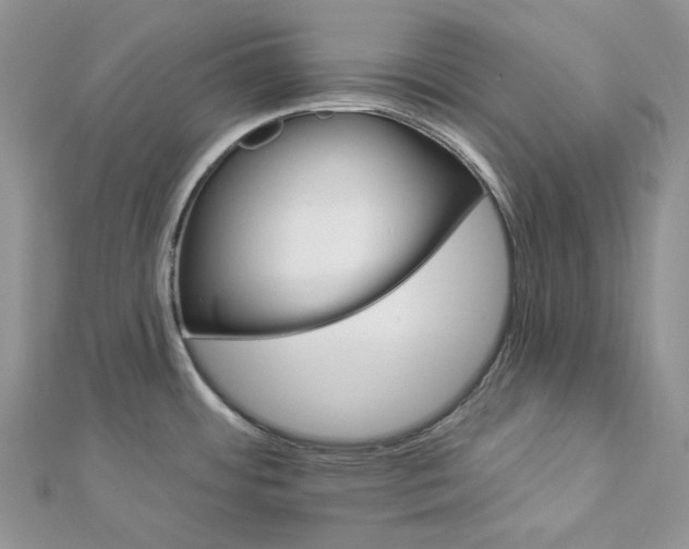 X0000112891484200909041651
