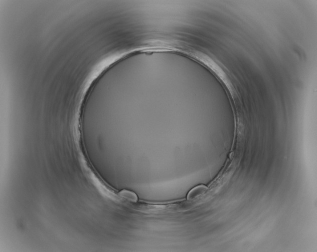 X0000112891485200909041651