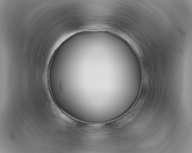 X0000112891486200909041651
