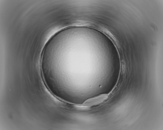 X0000112891487200909041651