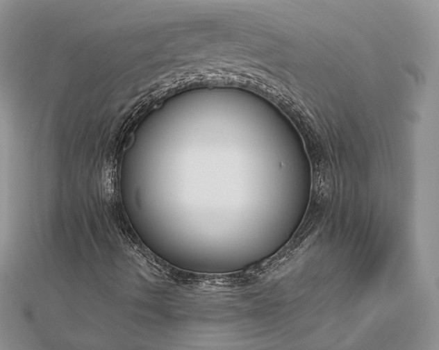 X0000112891490200909041651