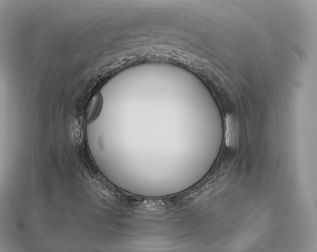 X0000112891491200909041651