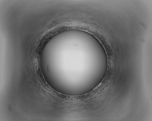 X0000112891493200909041651