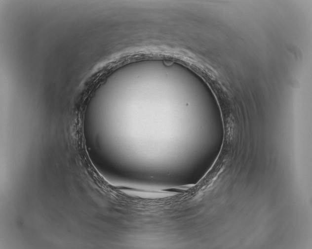 X0000112891494200909041651
