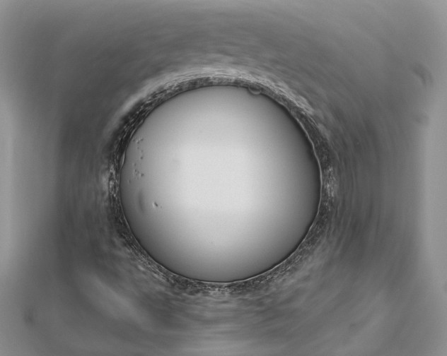 X0000112891495200909041651