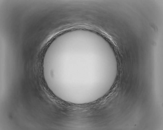 X0000112891496200909041651