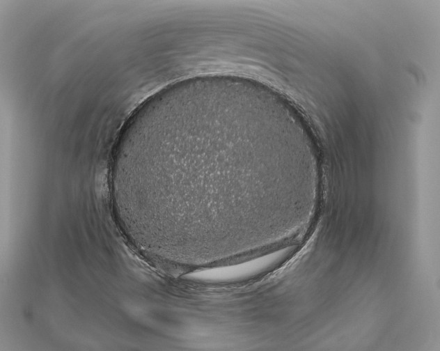 X0000112891497200909041651