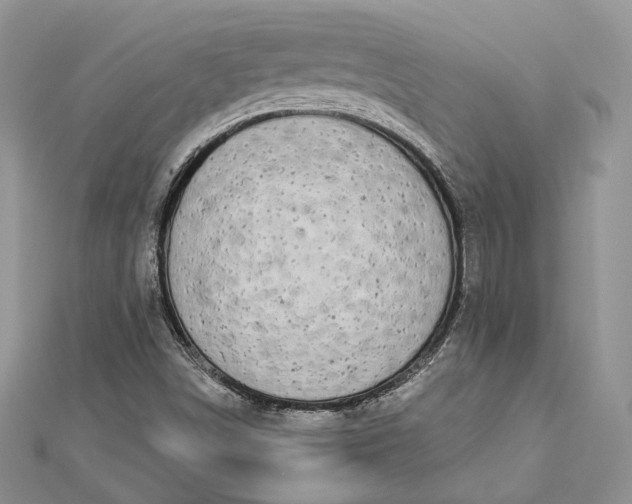 X0000112891498200909041651