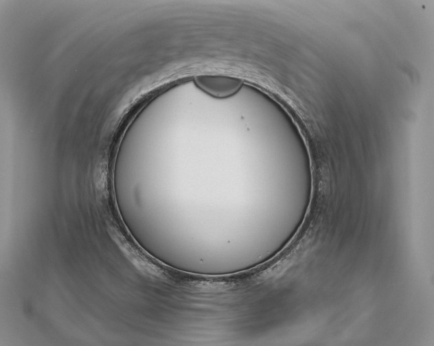 X0000112891499200909041651