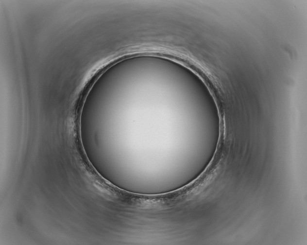 X0000112891501200909041651
