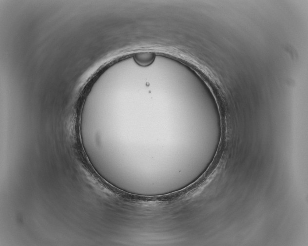 X0000112891502200909041651
