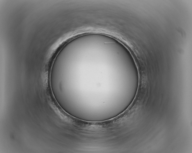 X0000112891503200909041651