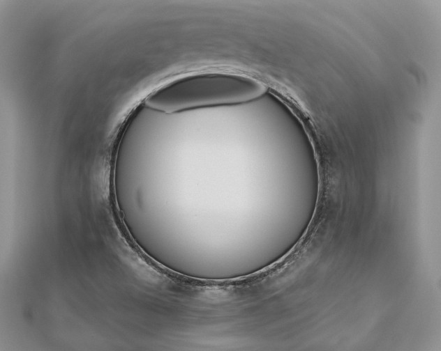 X0000112891504200909041651