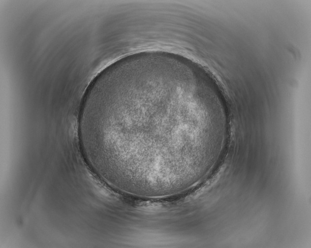 X0000112891505200909041651
