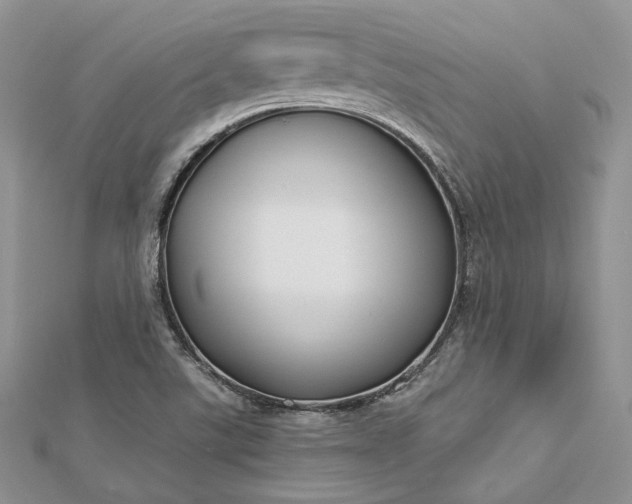 X0000112891507200909041651