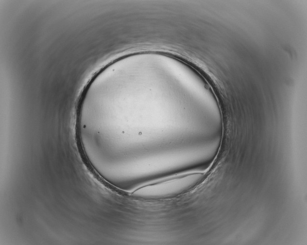 X0000112891508200909041651