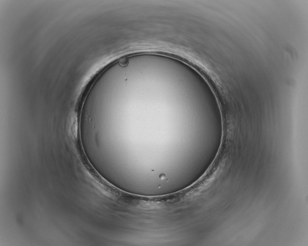 X0000112891509200909041651