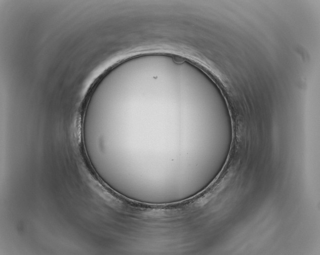X0000112891510200909041651