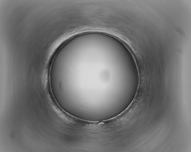X0000112891511200909041651