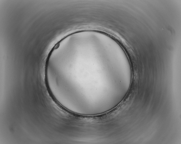 X0000112891512200909041651
