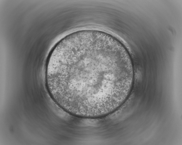 X0000112891514200909041651