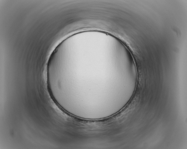 X0000112891516200909041651
