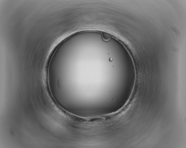 X0000112891517200909041651
