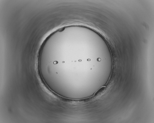 X0000112891518200909041651