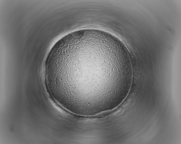 X0000112891519200909041651