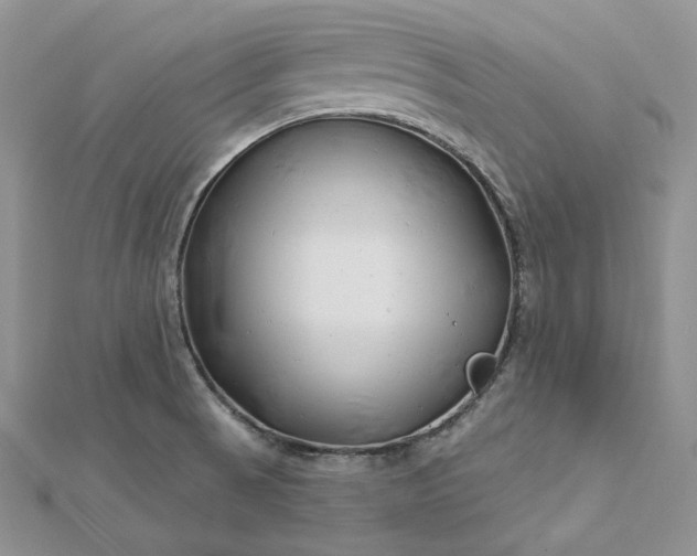 X0000112891521200909041651