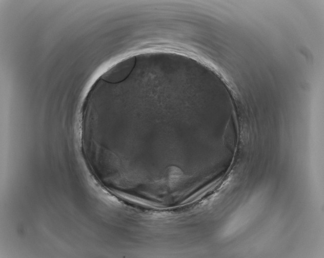 X0000112891522200909041651