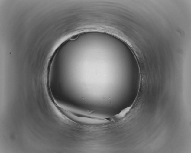 X0000112891523200909041651