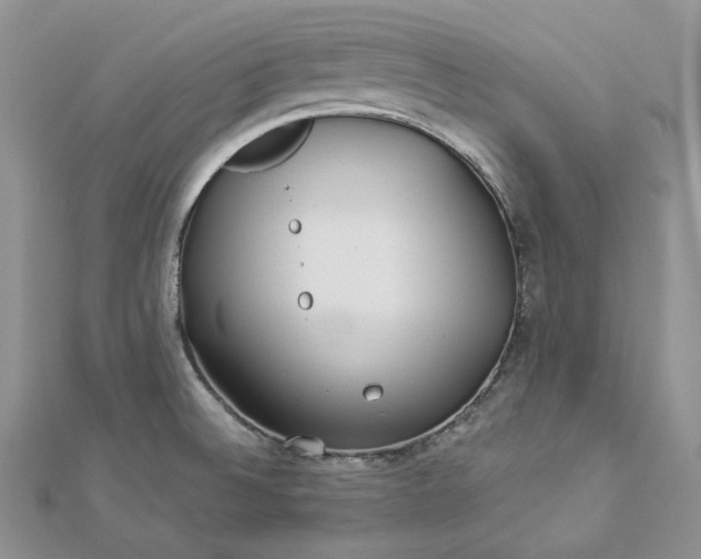 X0000112891524200909041651