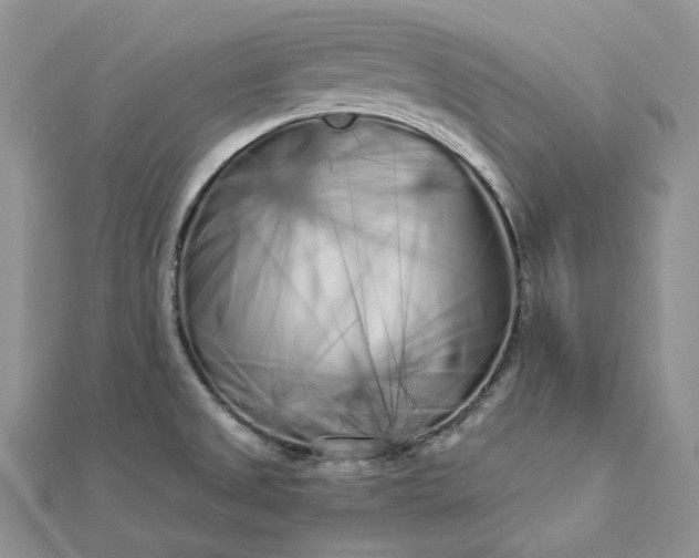 X0000112891525200909041651