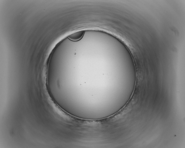 X0000112891526200909041651