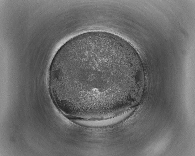 X0000112891527200909041651