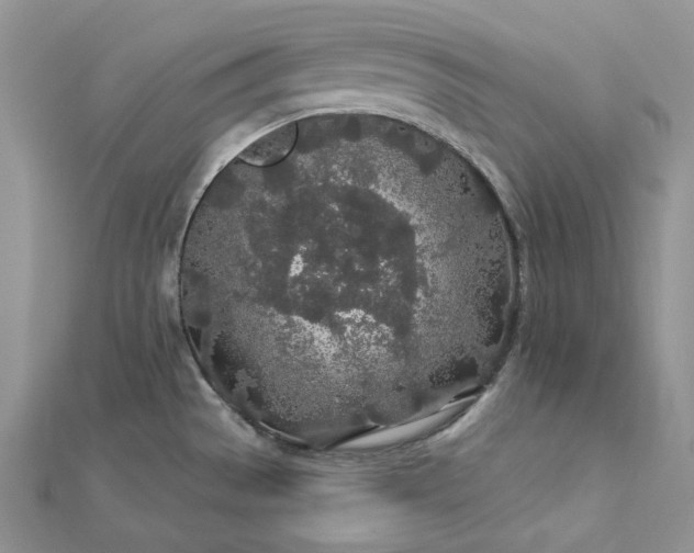 X0000112891529200909041651