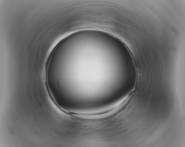 X0000112891531200909041651