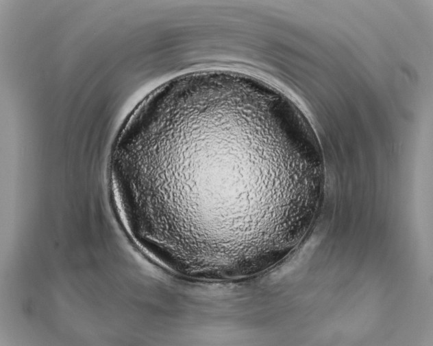 X0000112891533200909041651
