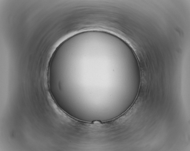 X0000112891534200909041651
