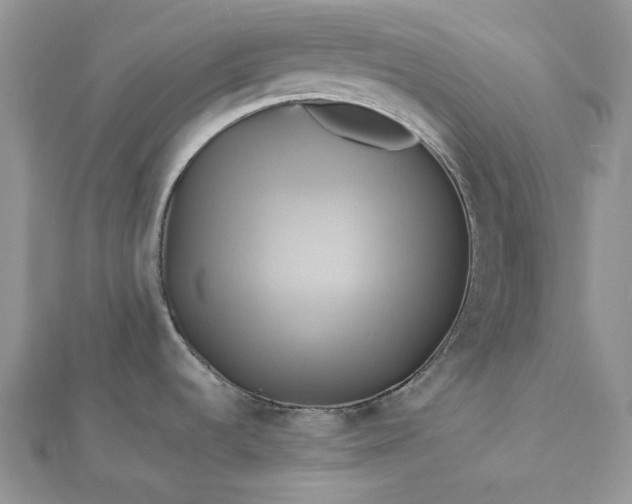 X0000112891536200909041651