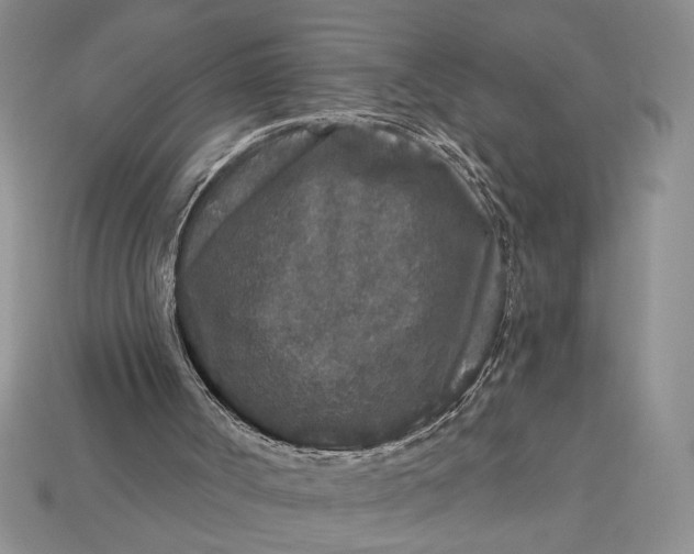 X0000112890002200909111513