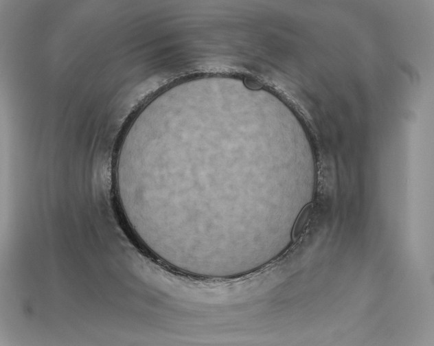 X0000112890015200909111513