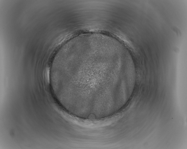 X0000112890022200909111513