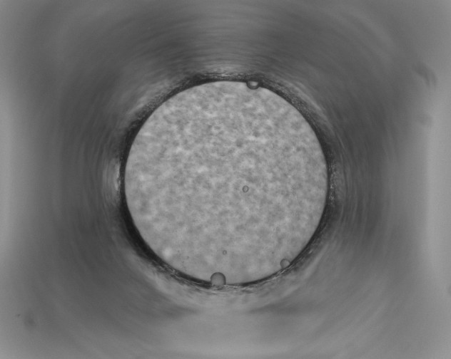 X0000112890024200909111513