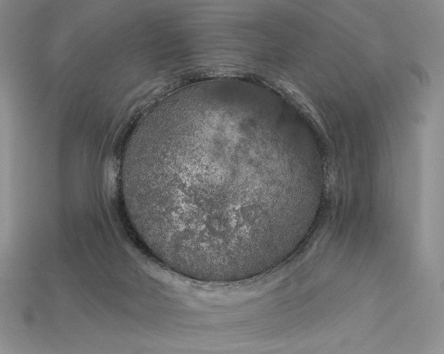 X0000112890026200909111513