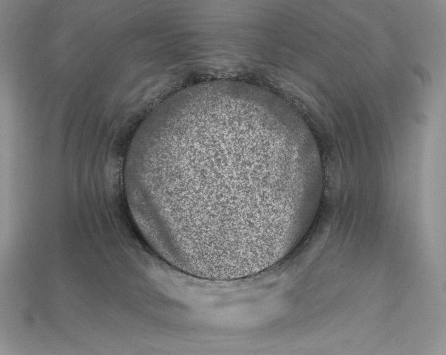 X0000112890034200909111513